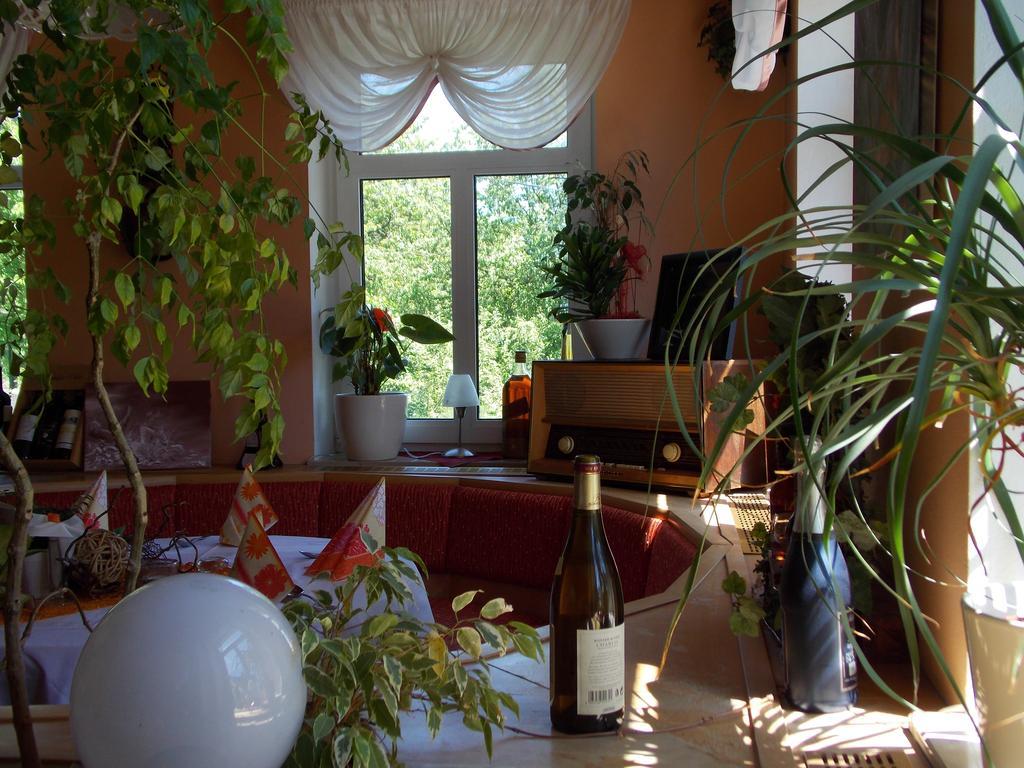 Landhotel Weisses Roess'L Adorf Zewnętrze zdjęcie