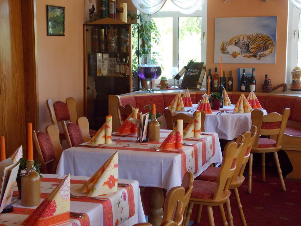 Landhotel Weisses Roess'L Adorf Zewnętrze zdjęcie